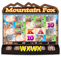 WXWX - WXWX.com PLATAFORMA - Apostas No Cassino Online